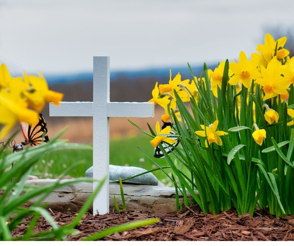 average cost of burial insurance